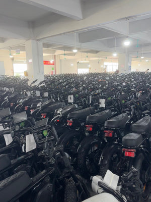 electric bike with charger